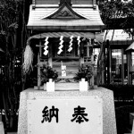 The Wanpaku- Rikki Kasso © 2006 24
