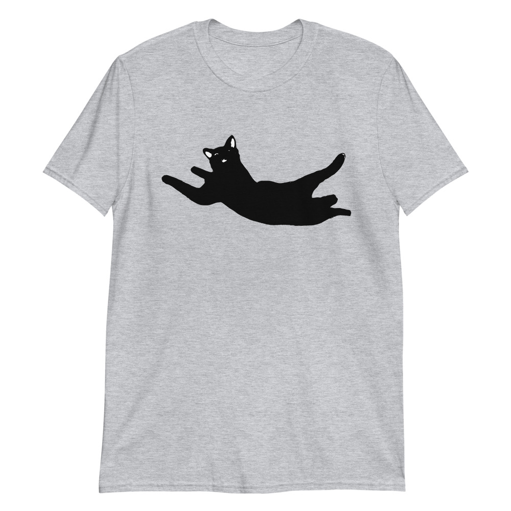Flying Cat / Look Up - Image 5