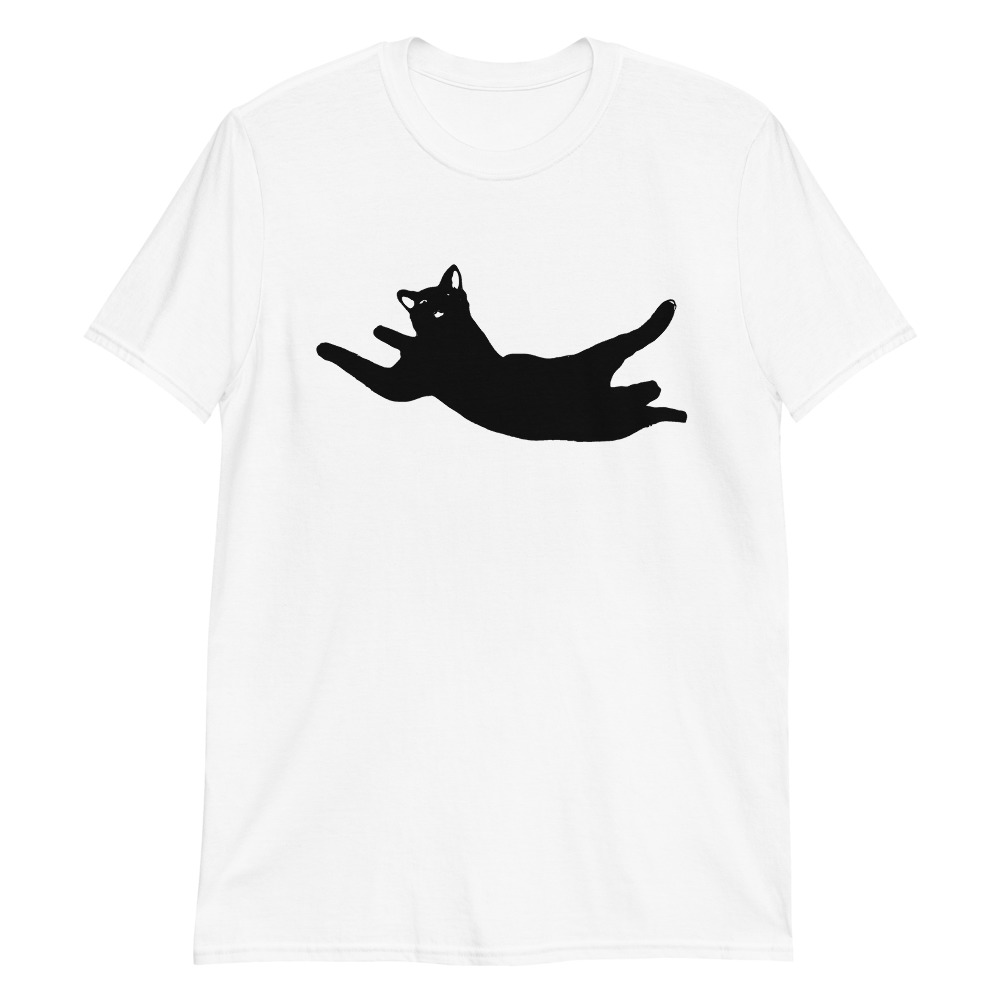 Flying Cat / Look Up - Image 3